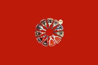 邵阳市绥宁县回收红酒